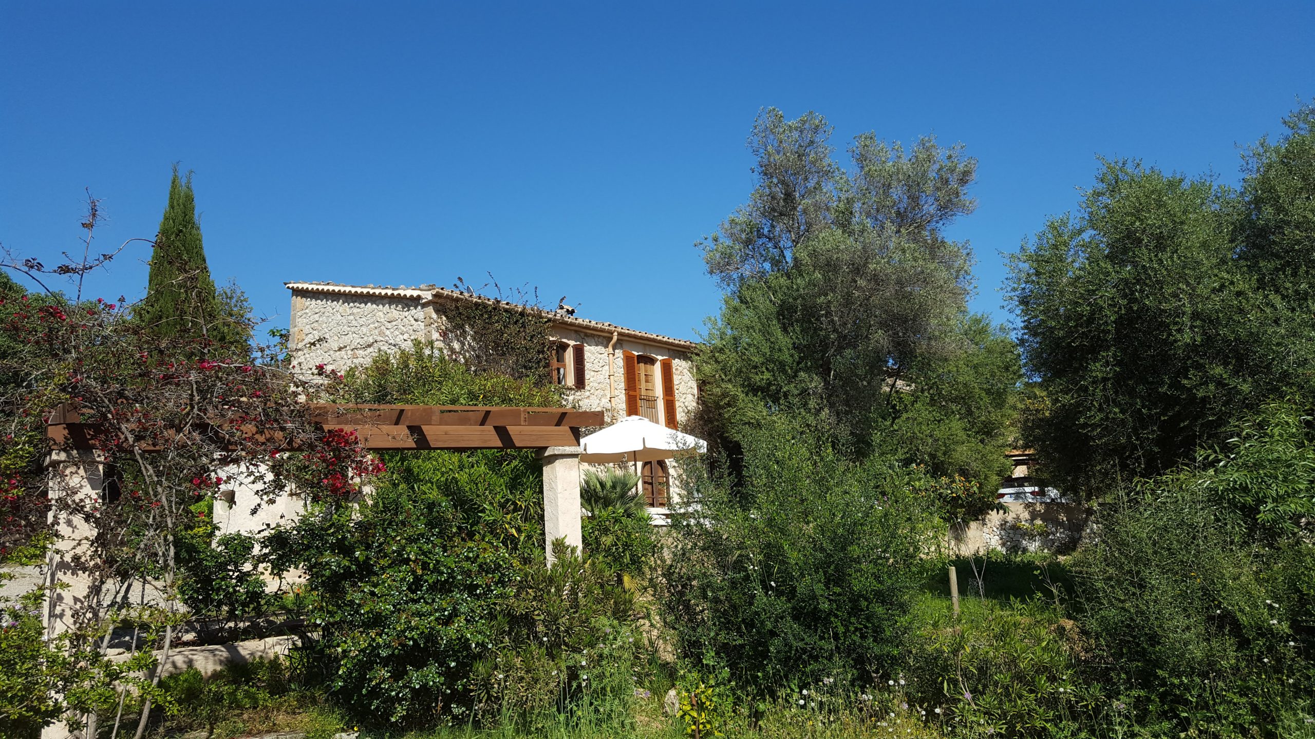 Finca