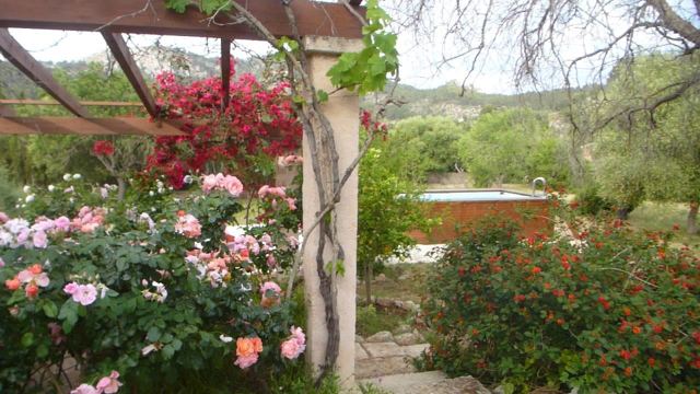 Foto Finca S'Arraco