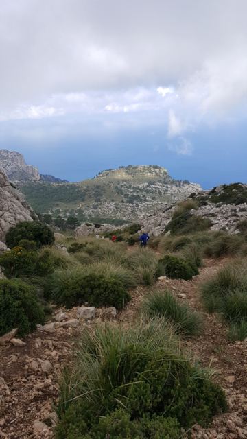 Foto Finca S'Arraco