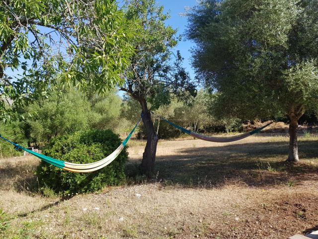 Foto Finca S'Arraco