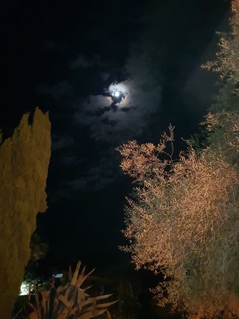 Foto Finca S'Arraco