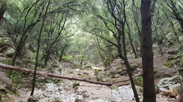 Foto Finca S'Arraco