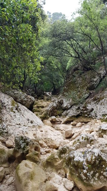 Foto Finca S'Arraco