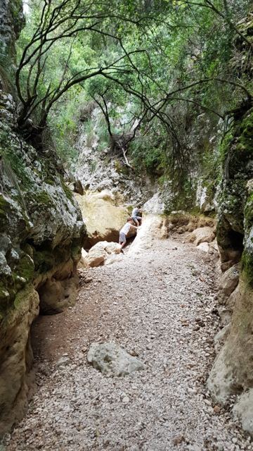 Foto Finca S'Arraco