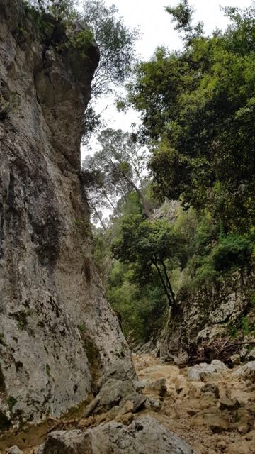 Foto Finca S'Arraco