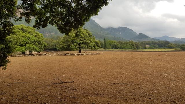 Foto Finca S'Arraco
