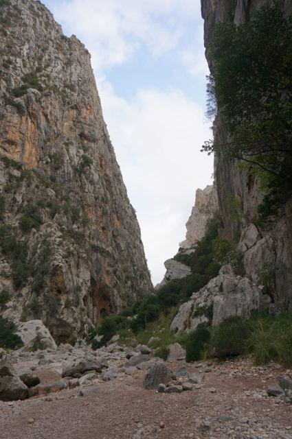 Foto Finca S'Arraco