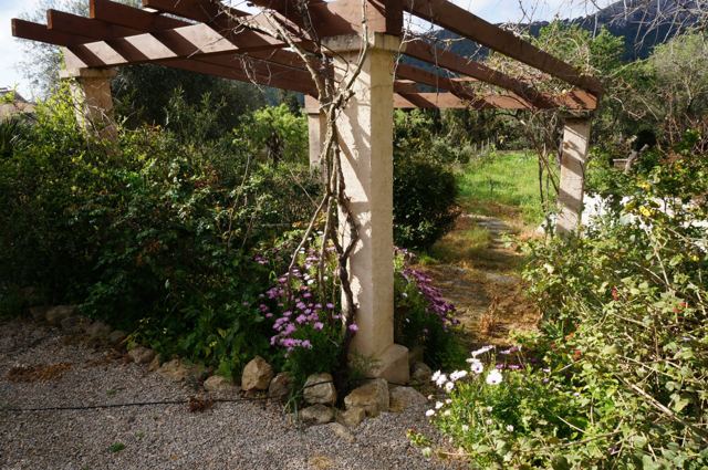 Foto Finca S'Arraco