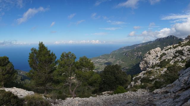 Foto Finca S'Arraco