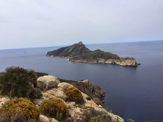 Foto Finca S'Arraco