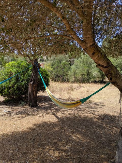 Foto Finca S'Arraco