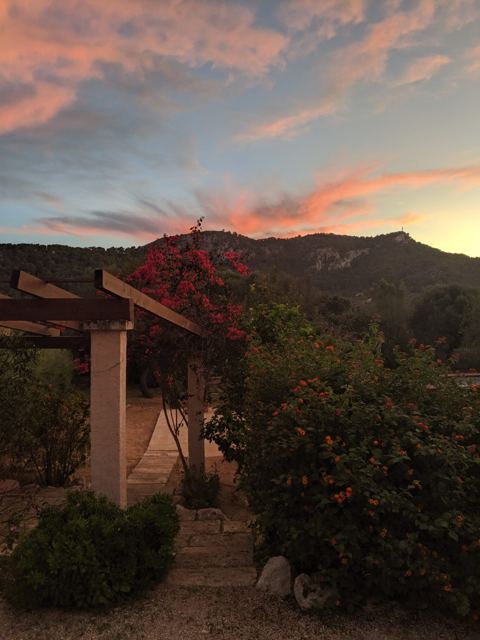 Foto Finca S'Arraco