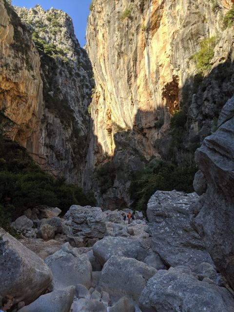 Foto Finca S'Arraco