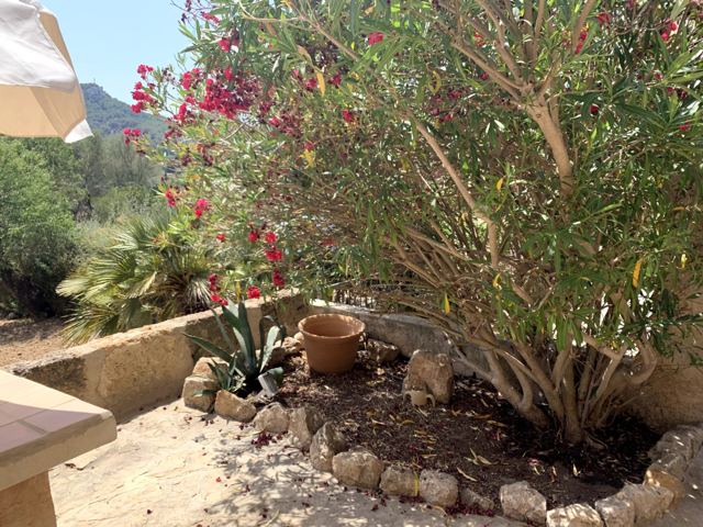 Foto Finca S'Arraco