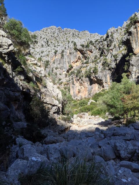 Foto Finca S'Arraco