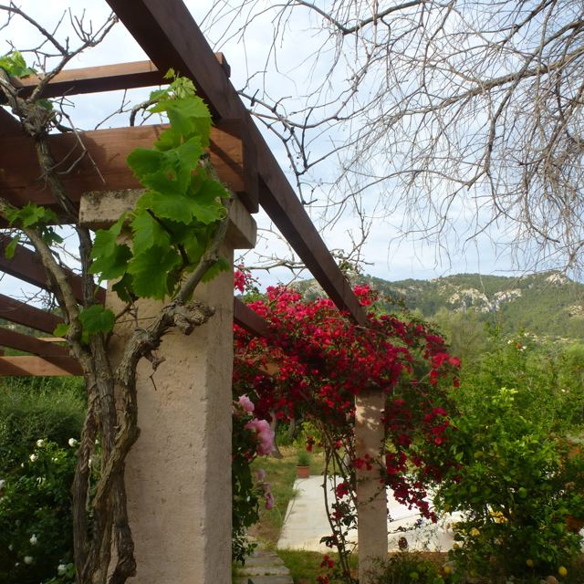 Foto Finca S'Arraco