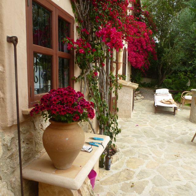 Foto Finca S'Arraco