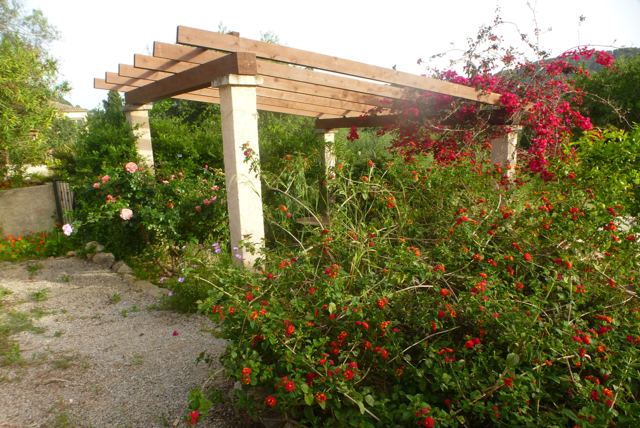 Foto Finca S'Arraco