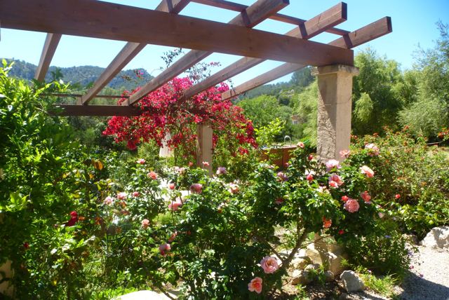 Foto Finca S'Arraco