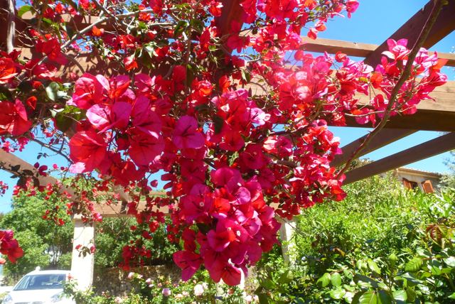 Foto Finca S'Arraco