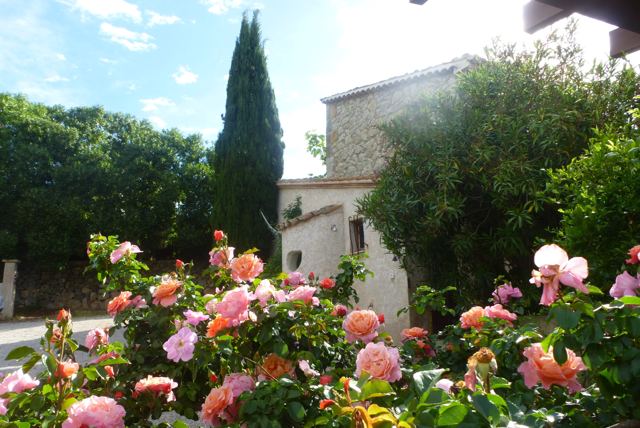 Foto Finca S'Arraco