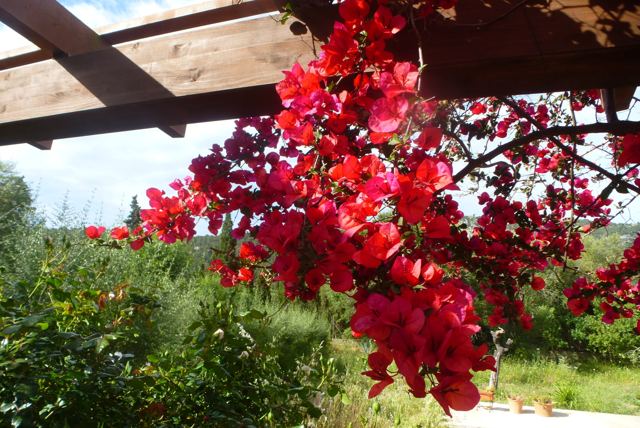 Foto Finca S'Arraco