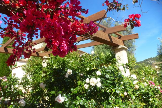 Foto Finca S'Arraco